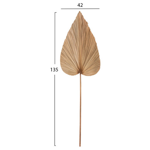 B2M-70680-apoxirameno-diakosmitiko-fyllo-foinika-f-1