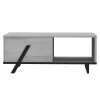 LIVING ROOM TABLE OTTO  GREY AND BLACK 110x60x33 cm.