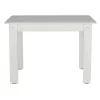 KITCHEN TABLE KELVIN  110x80x77H, WHITE