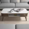 COFFEE TABLE MELAMINE  IN WHITE-WALNUT COLOR 105x60x34.6Hcm.