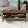 COFFEE TABLE  MELAMINE WITH CABINET WALNUT & WHITE 105x60x38.2Hcm.