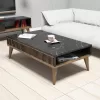 LIVING ROOM COMPOSITION  2PCS IN WALNUT-BLACK MARBLE LOOK