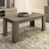 Coffee table Olympus in toro color 100x51x42,5