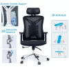 Office chair manager Andrew mesh black