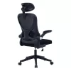 Office chair manager Anthony mesh black