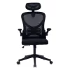 Office chair manager Anthony mesh black