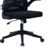 Office chair manager Anthony mesh black