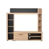 Wall Unit Rubi Artisan - Black 172x33x157 cm