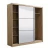 Wardrobe Navara with Mirror 215 2 OG Artisan Oak 213x60x215.5 cm.