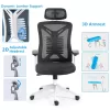 Office chair manager Andrew mesh dark grey 65x61x125cm