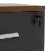 Chest of drawers on wheels Oscar 3 drawers walnut-charcoal 40x48x63cm